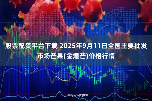 股票配资平台下载 2025年9月11日全国主要批发市场芒果(金煌芒)价格行情